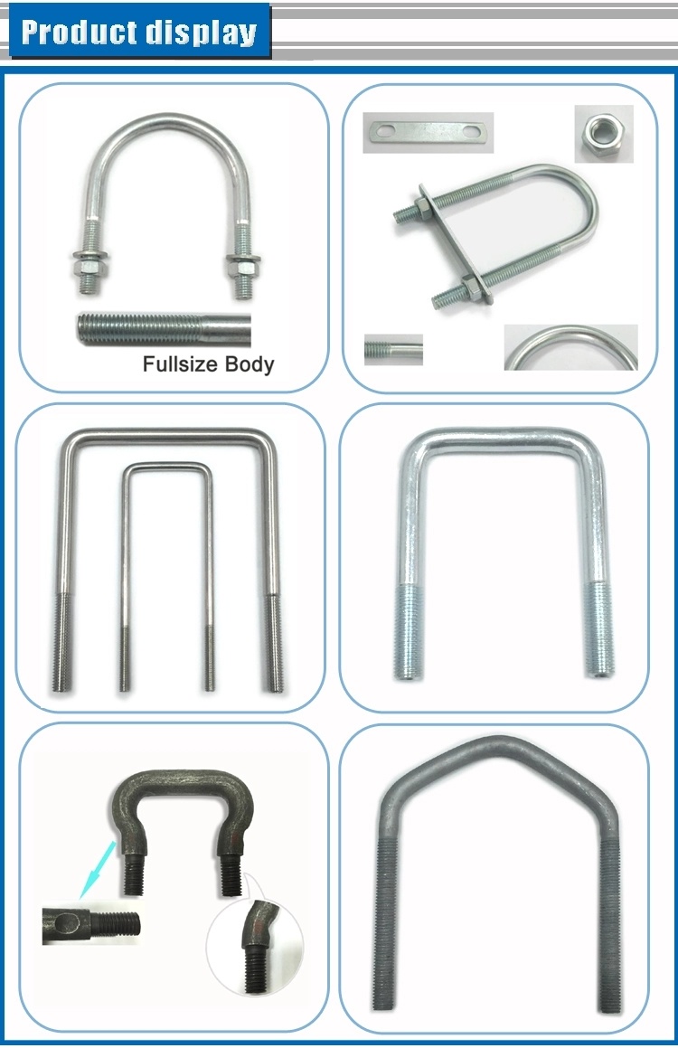 Zinc Plated U Bolt for Pipe/Clamp /Anchor Bolt